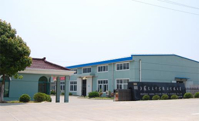 2006
